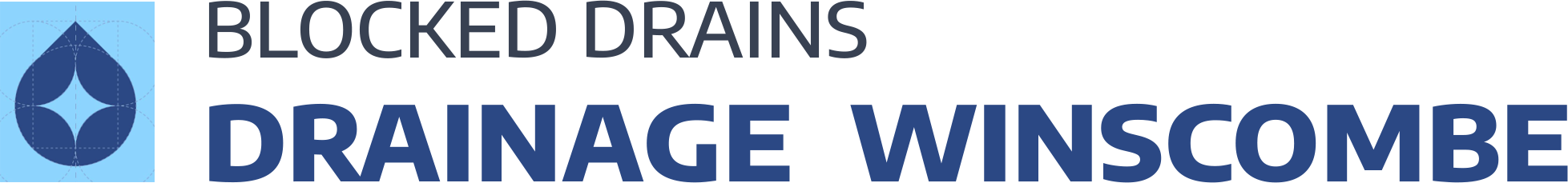 website logo